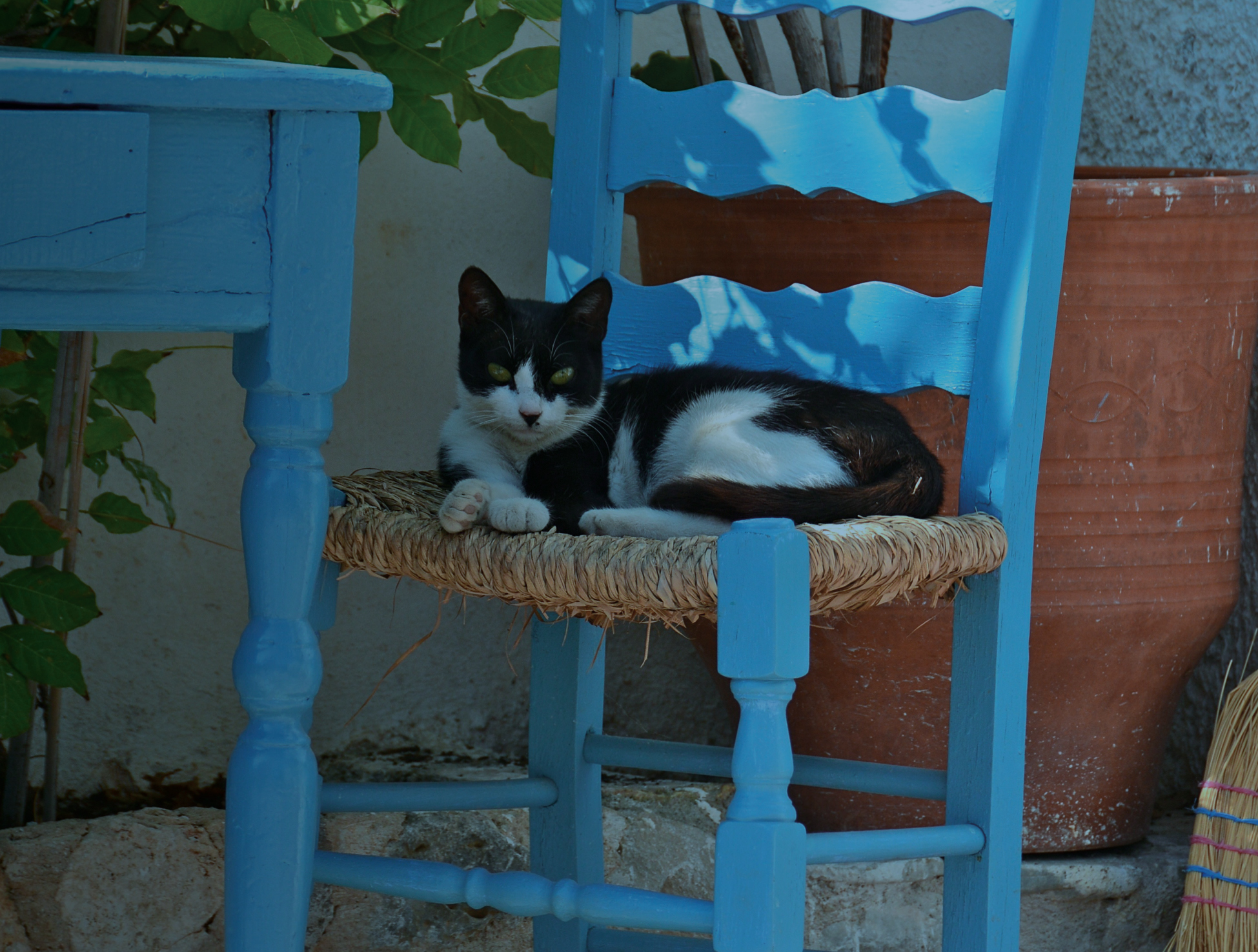 Image 05